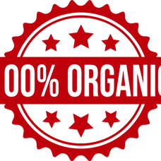 Short sleeve T-shirt - Organic