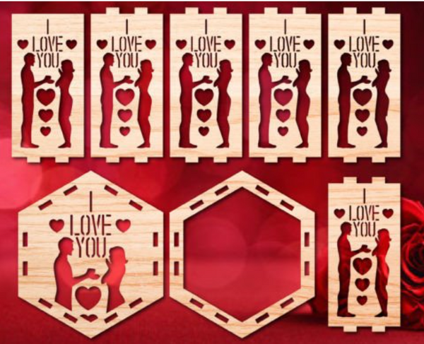 Valentines lantern-design #11 hexagon "I love you"