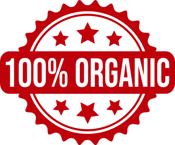 Short sleeve T-shirt - Organic