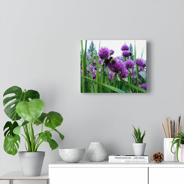 Canvas Gallery Wraps