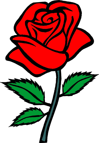 Short sleeve T-shirt - Rose